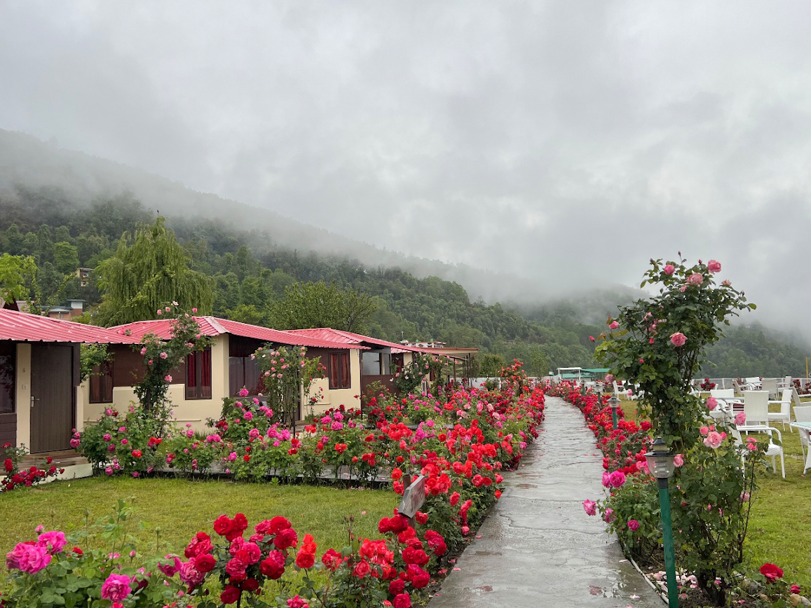 luxury resorts in kedarnath